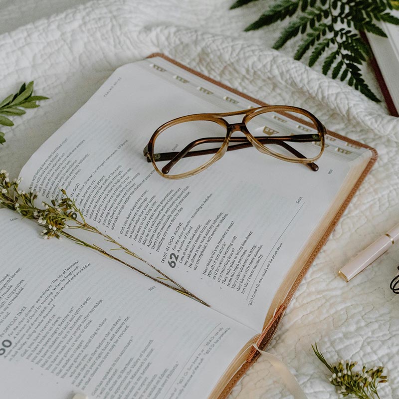 Shannon Dvorak - Bible