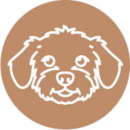 Shannon Dvorak - Fun Fact Dog Icon